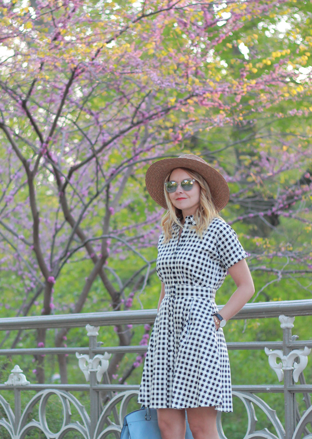 Gingham Shirtdress in Central Park