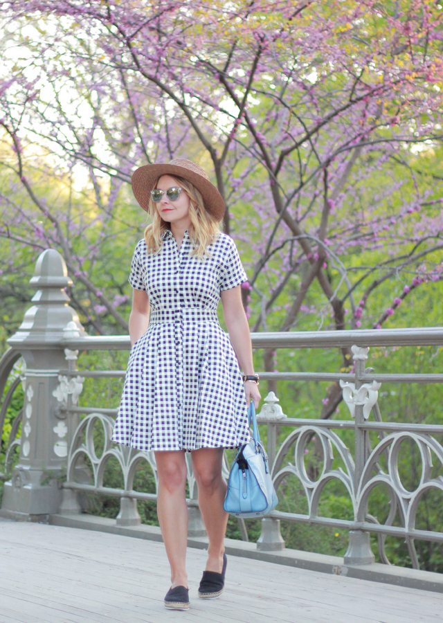 Gingham Shirtdress in Central Park