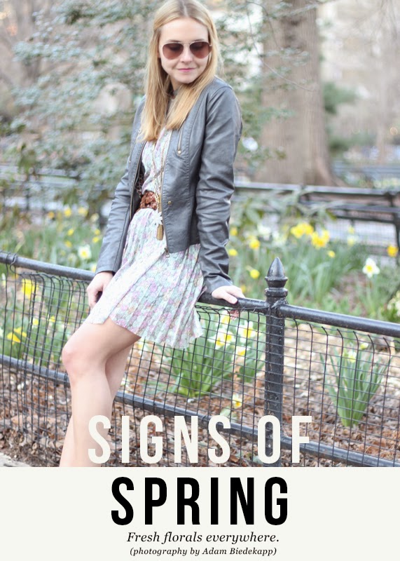 The Steele Maiden: Signs of Spring