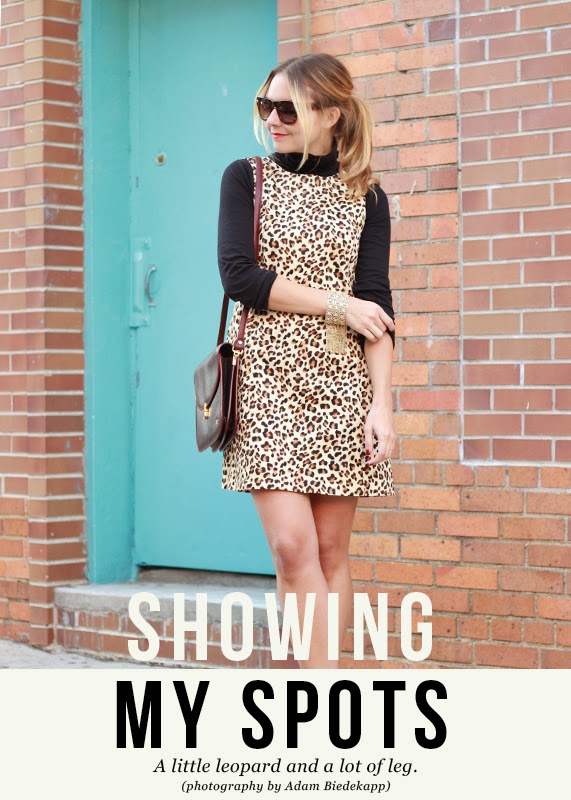 The Steele Maiden: Zara Leopard Shift Dress and Messy Ponytail
