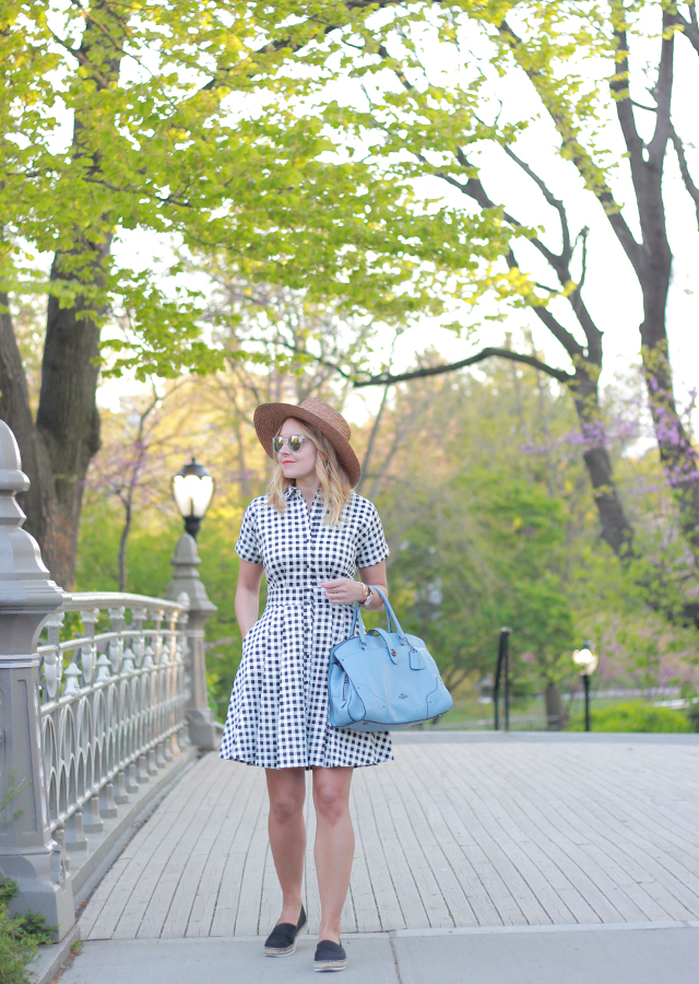GINGHAM SHIRTDRESS IN CENTRAL PARK – The Steele Maiden